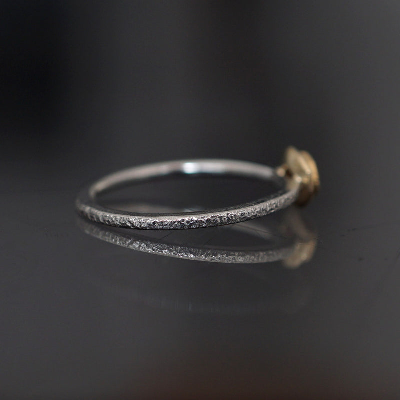 [Limited publication until 11/4 noon] J&O SINRA / Trapicherby Ring (TR-30)