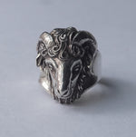 In Out Design / Sheep Ring