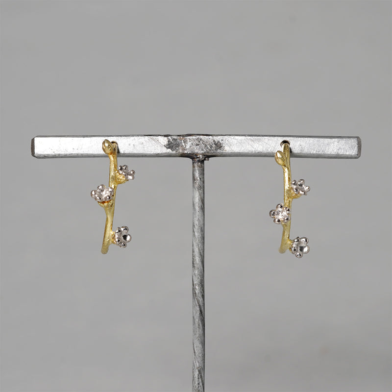 【-11/23限定】WATARU YAMAZAKI / Trigonotis peduncularis