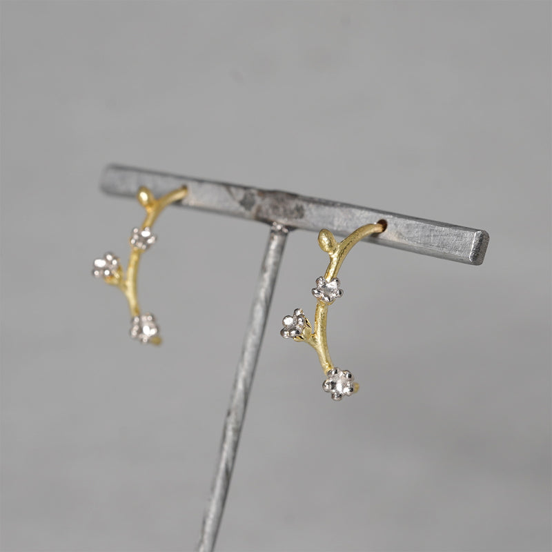 【-11/23限定】WATARU YAMAZAKI / Trigonotis peduncularis