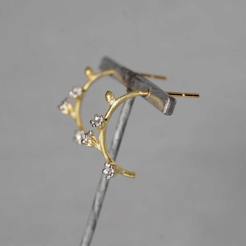 【-11/23限定】WATARU YAMAZAKI / Trigonotis peduncularis