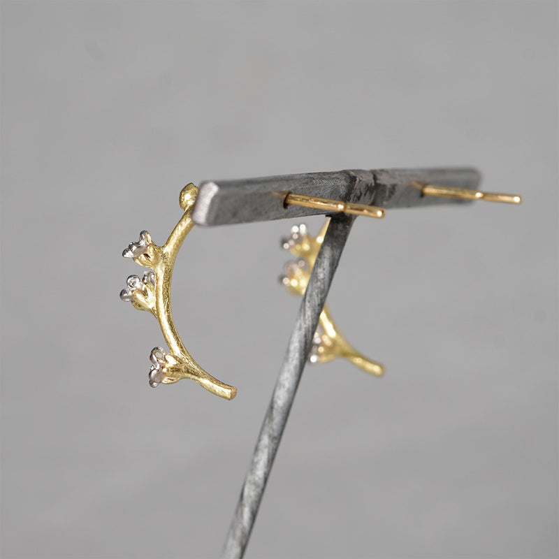 【-11/23限定】WATARU YAMAZAKI / Trigonotis peduncularis