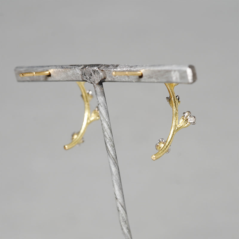 【-11/23限定】WATARU YAMAZAKI / Trigonotis peduncularis