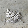 【-11/23限定】WATARU YAMAZAKI / Wild Chervil Brooch