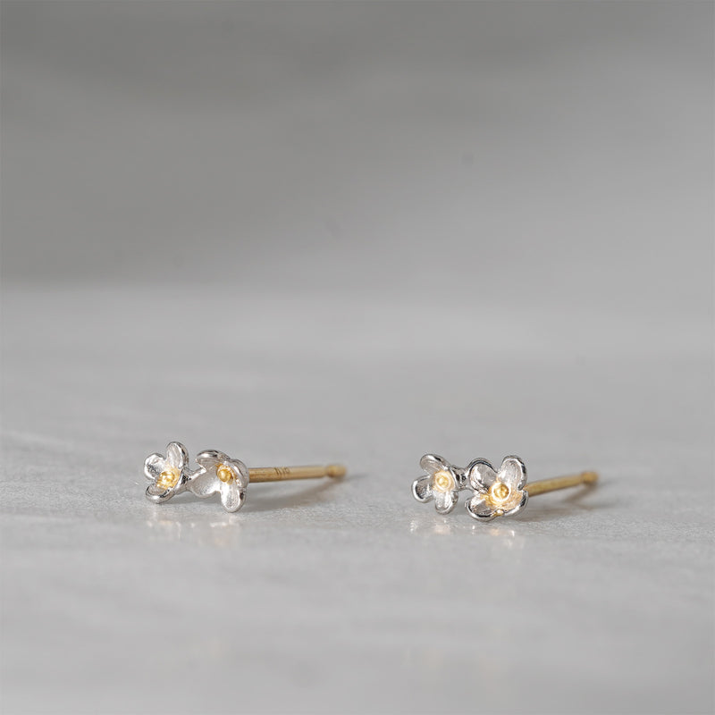 [-10/14 Limited Time Only] WATARU YAMAZAKI/Lilac Pierce