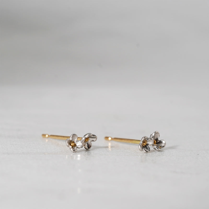 [-10/14 Limited Time Only] WATARU YAMAZAKI/Lilac Pierce