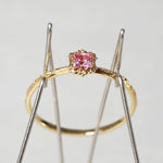 [-9/30 Limited Time] Time / Pink Sapphire F250603