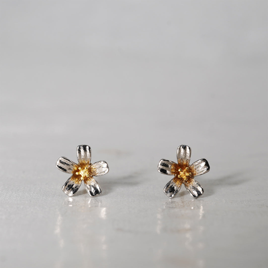 WATARU YAMAZAKI / Twig Pierce A – Fuligo / Fuligoshed