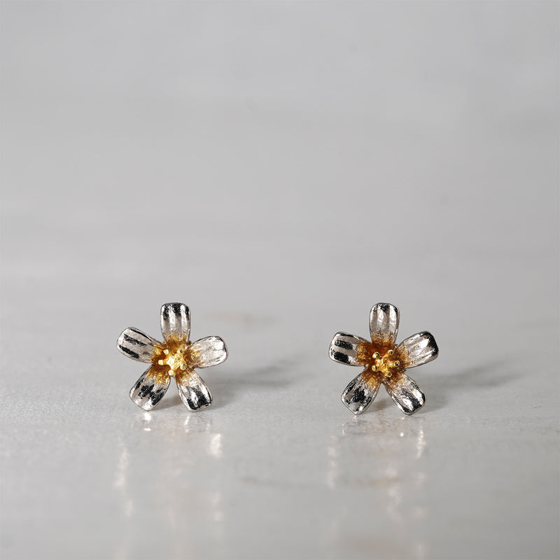 WATARU YAMAZAKI / Jasmin Pierce（受注生産納期1.5ヶ月）