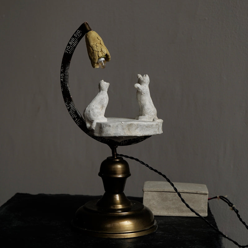 [Limited time] Tomoko Warabino / 5. Edge of the night