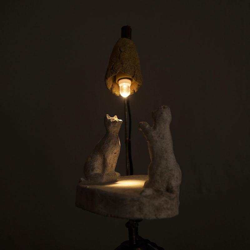 [Limited time] Tomoko Warabino / 5. Edge of the night