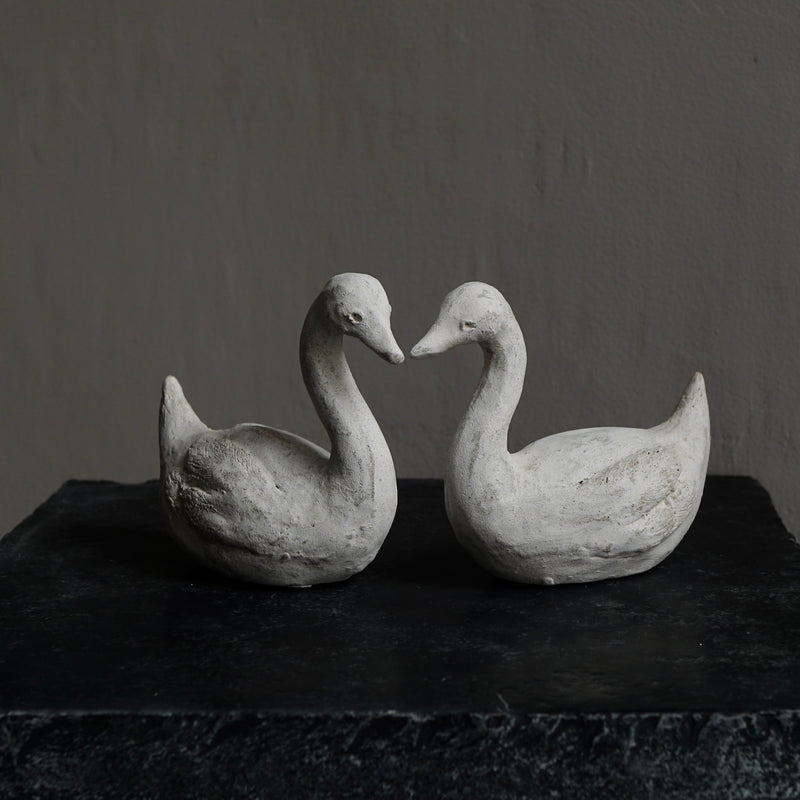 [Limited time] Tomoko Warabino / 7.Light home