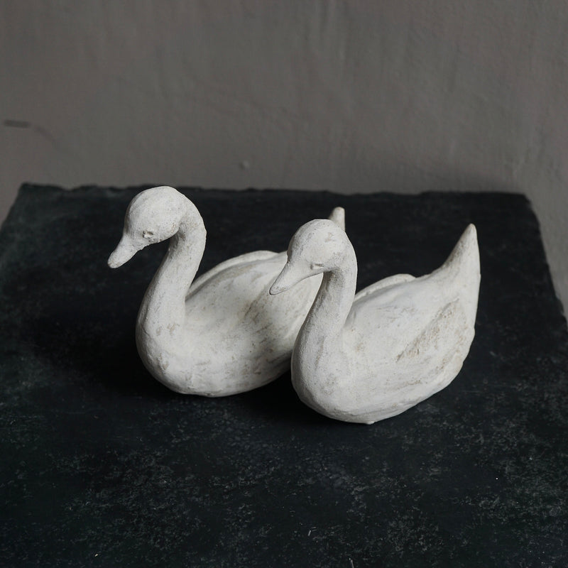 [Limited time] Tomoko Warabino / 7.Light home