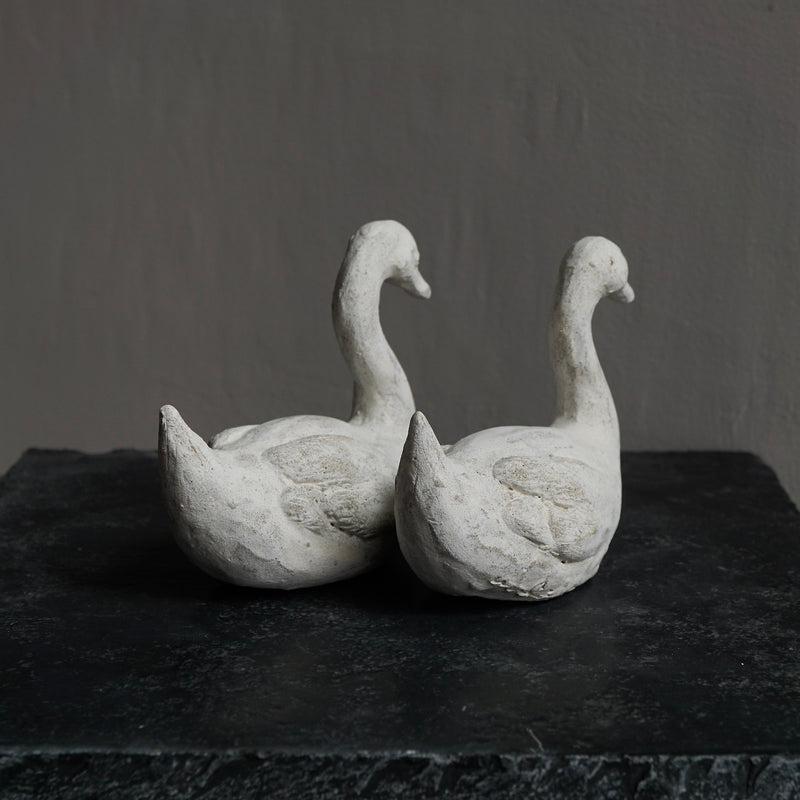 [Limited time] Tomoko Warabino / 7.Light home