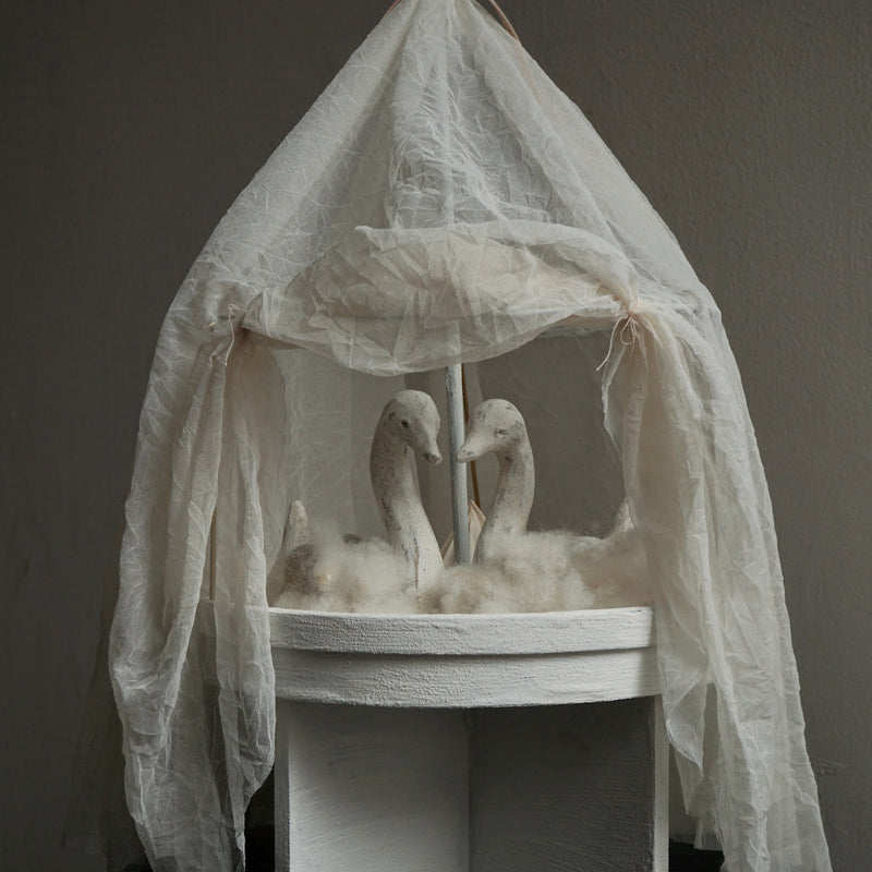 [Limited time] Tomoko Warabino / 7.Light home