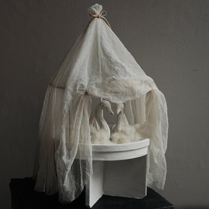 [Limited time] Tomoko Warabino / 7.Light home