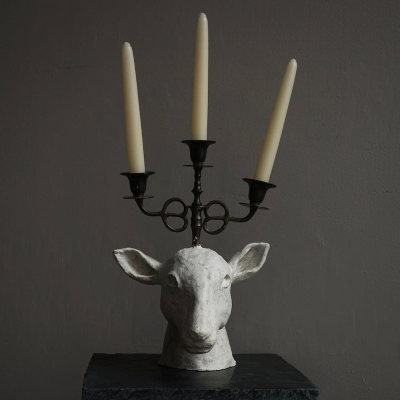 [Limited time] Tomoko Warabino / 6. End of the dream