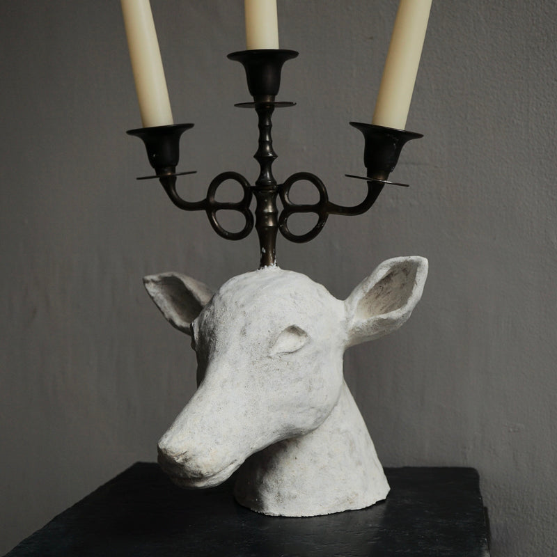 [Limited time] Tomoko Warabino / 6. End of the dream