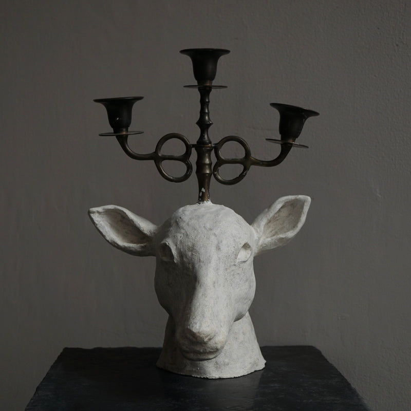 [Limited time] Tomoko Warabino / 6. End of the dream