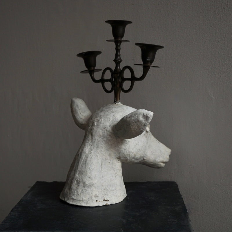 [Limited time] Tomoko Warabino / 6. End of the dream