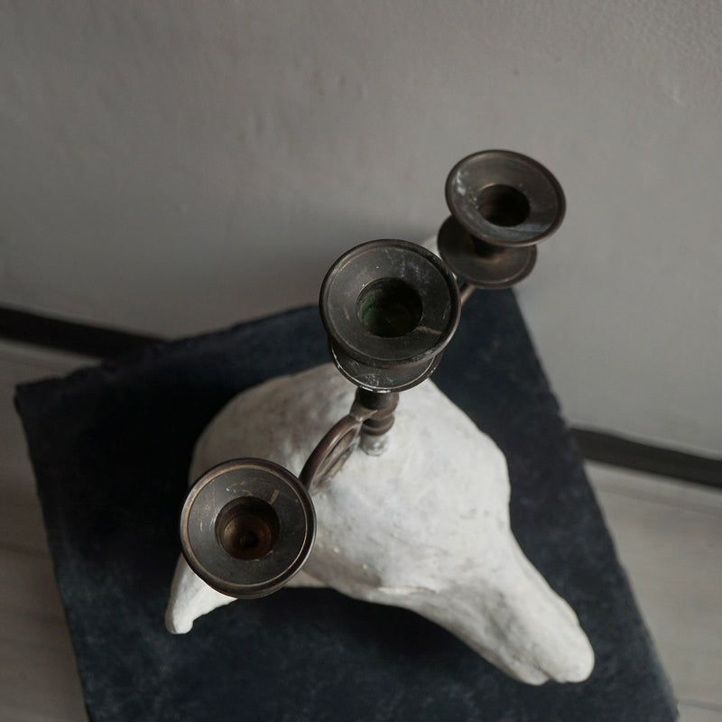 [Limited time] Tomoko Warabino / 6. End of the dream