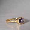 【8/2-8/31限定】siena /  Delicato sapphire 2504-06