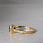 【8/2-8/31限定】siena /  Delicato sapphire 2504-06