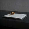 [Limited time] Tomoko Warabino / 27. Ground surface small