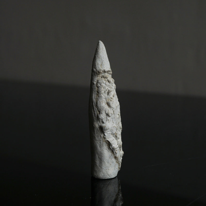 [Limited Time] Tomoko Warabino / 33.Santa Claus White Medium