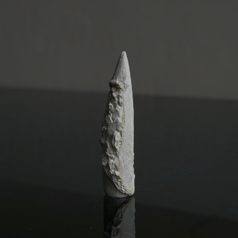 [Limited Time] Tomoko Warabino / 33.Santa Claus White Medium