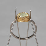【8/2-8/31限定】siena /  Delicato クリソベリル 2504-08