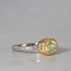 【8/2-8/31限定】siena /  Delicato クリソベリル 2504-08