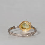 【8/2-8/31限定】siena /  Delicato クリソベリル 2504-08