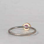 【8/2-8/31限定】siena /  Soave sapphire 2504-05