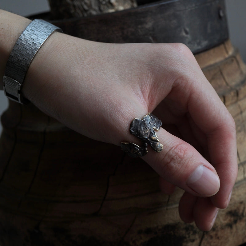 suzuki yuki / monarko no.19 brass #23