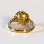 St.amour jewellery Estracan style ring <ruby>  K18YG