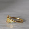 [-8/31 Limited] oro di oco / Jardin Botanique leaf1