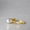 [-8/31 Limited] oro di oco / Jardin Botanique Akoya Pearl