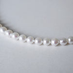 [Limited time only] Hatsuyume / necklace Freshwater pearl SV
