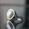 emme / M by EMME grosse #8（ARG5044）