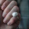 emme / M by EMME grosse #5（ARG5044）