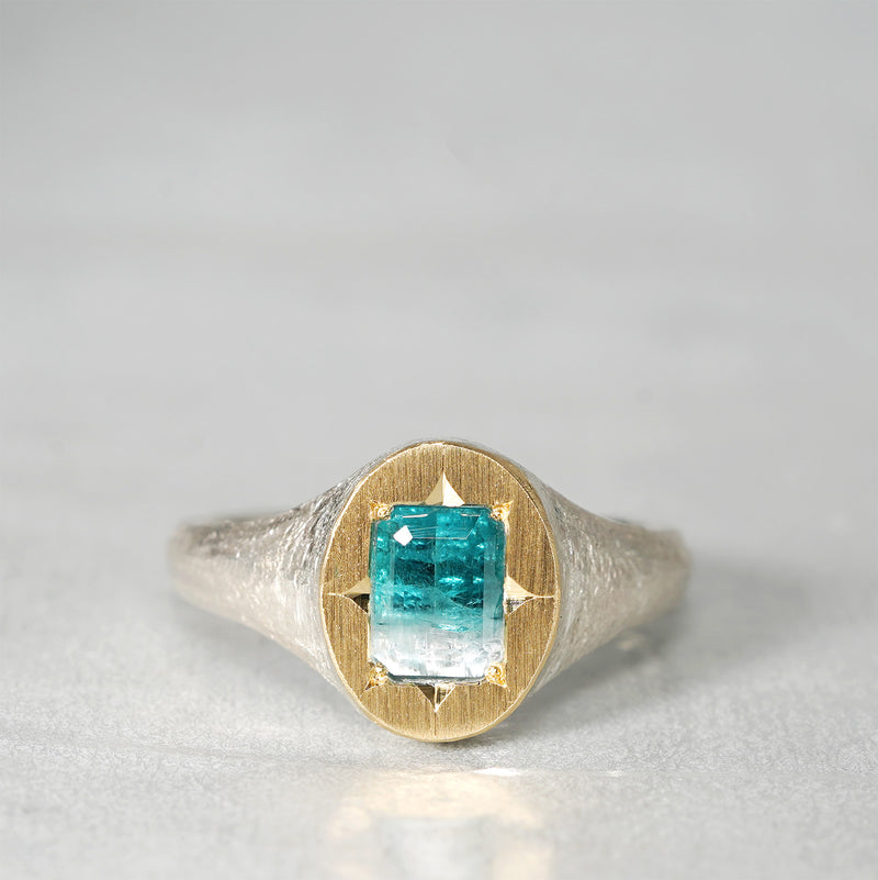 【Fuligoshed栄 15周年記念アイテム】GICLAT /  K18YG/silver x バイカラートルマリン 0.66ct  GLR874