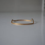 revie objects /〈ANALYZE〉●bangle（AN4-01/02）