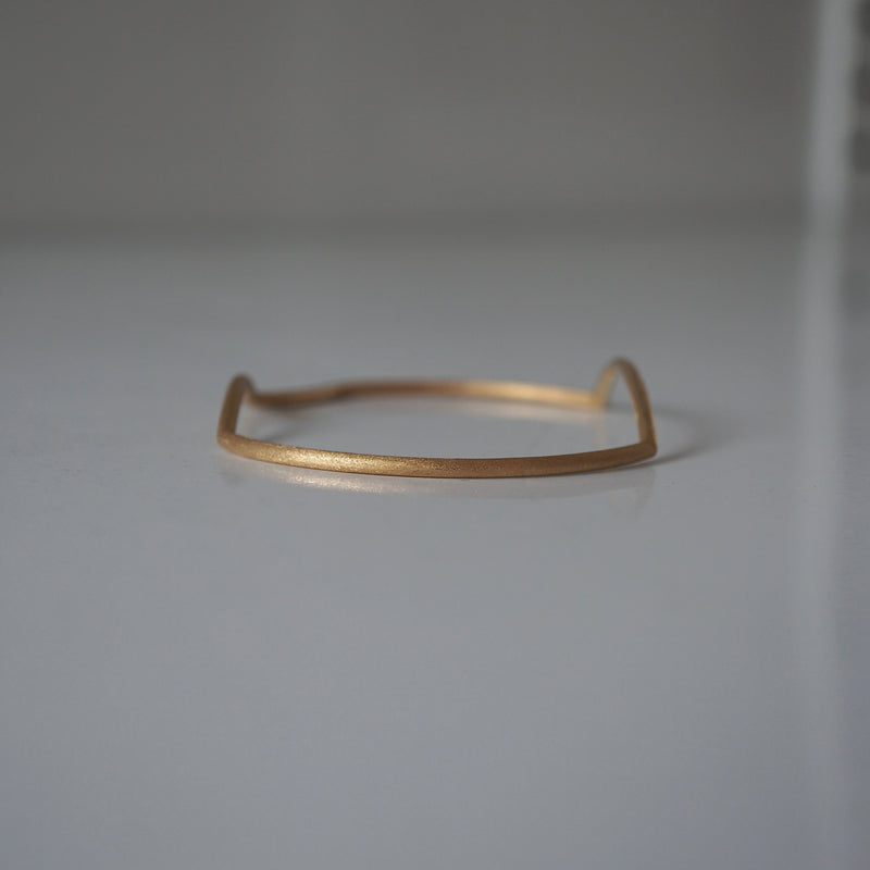 revie objects /〈ANALYZE〉●bangle（AN4-01/02）