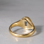 GICLAT / K18YG x Bicolor Paraiba Tourmaline 0.34ct GLR474