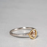 GICLAT / K18YG/Pt900 x Brown Diamond GLR797
