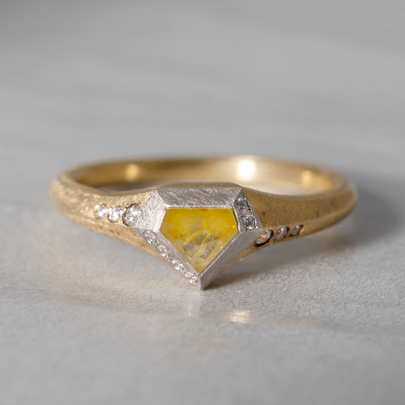 [5/3-5/25 Limited time only] 19un-neuf / Handsome Ring Diamond AR02311