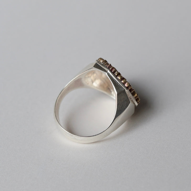 ATELIER FER/FR-46 Iron Rust Leaf Frame #17