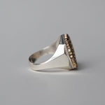 ATELIER FER/FR-46 Iron Rust Leaf Frame #17