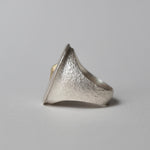 ATELIER FER / FR-68 Giraffe Embedded Oval #17